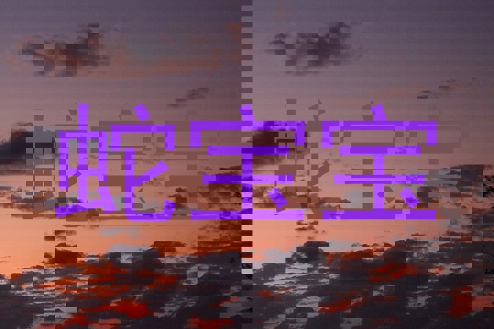 蛇宝宝