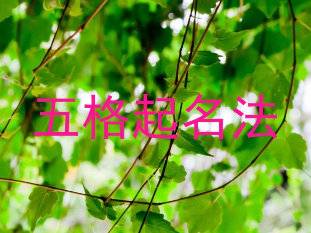 五格起名法