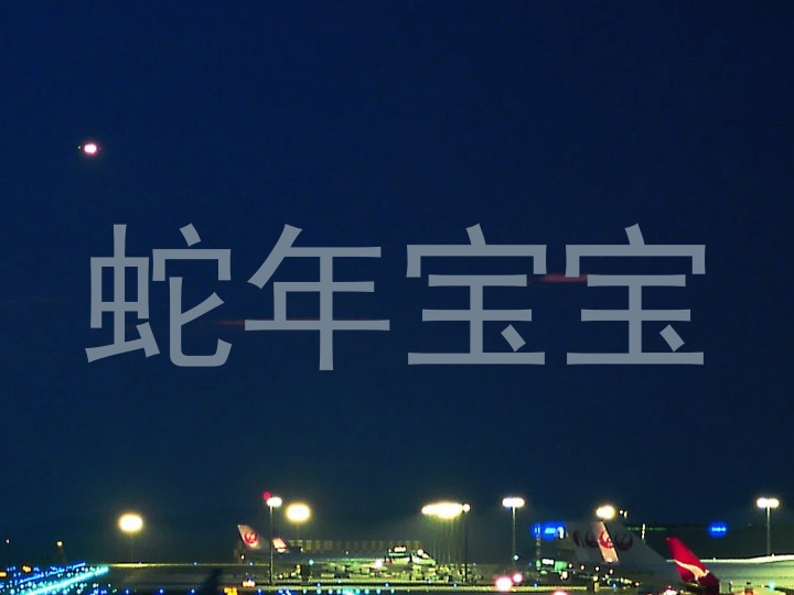 蛇年宝宝