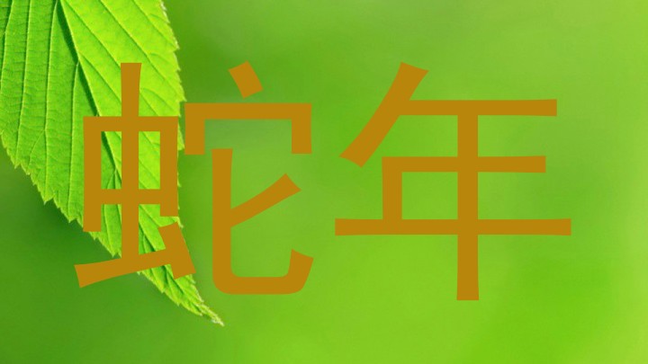 蛇年