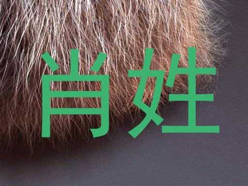 肖姓