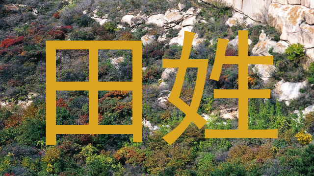 田姓