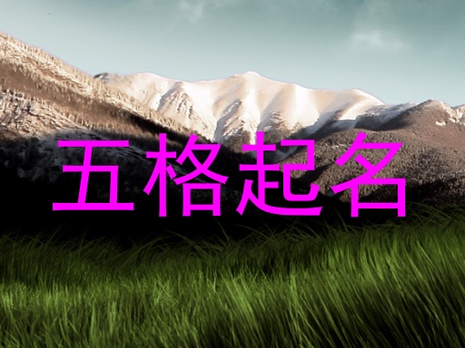 五格起名