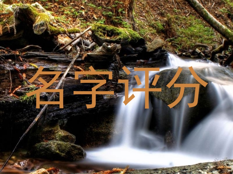 名字评分