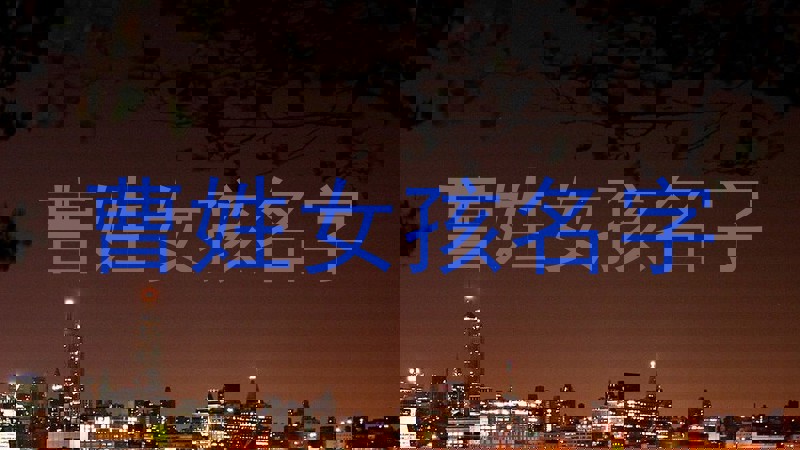 曹姓女孩名字
