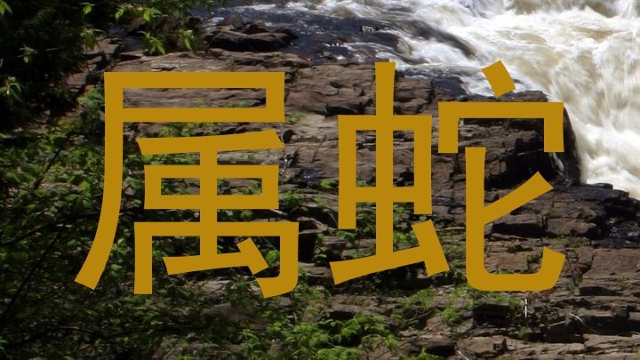 属蛇