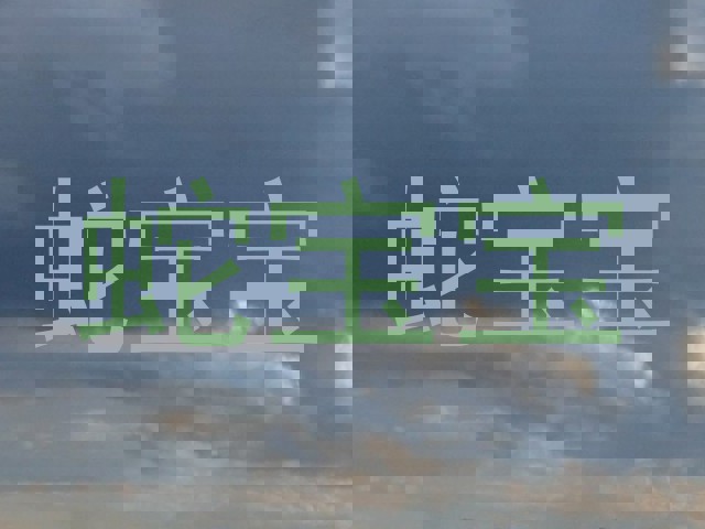 蛇宝宝