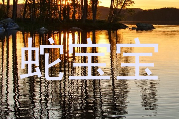 蛇宝宝