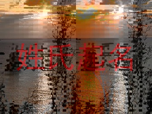 姓氏起名