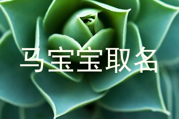 马宝宝取名