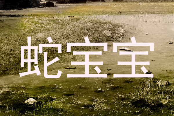 蛇宝宝