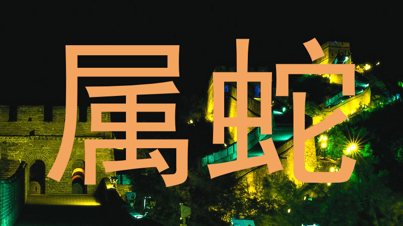 属蛇