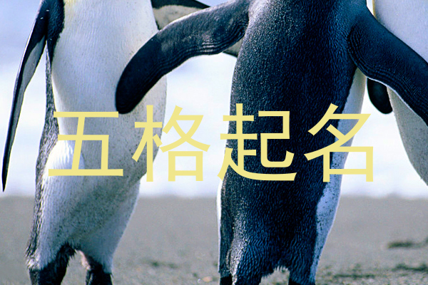 五格起名