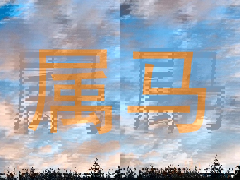 属马