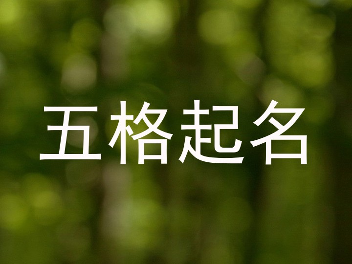五格起名