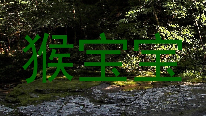 猴宝宝