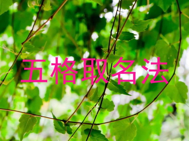 五格取名法