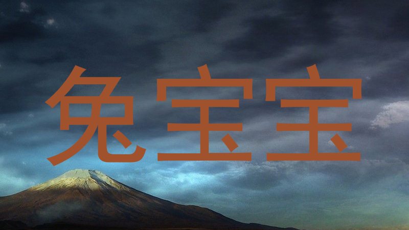 兔宝宝