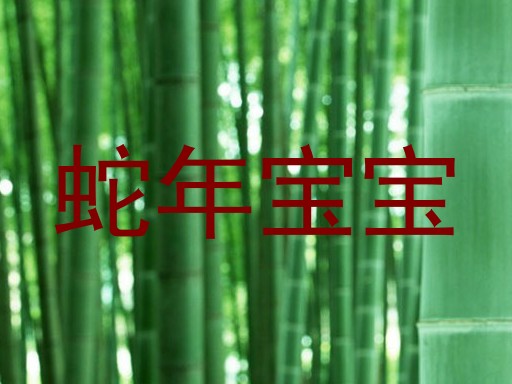 蛇年宝宝