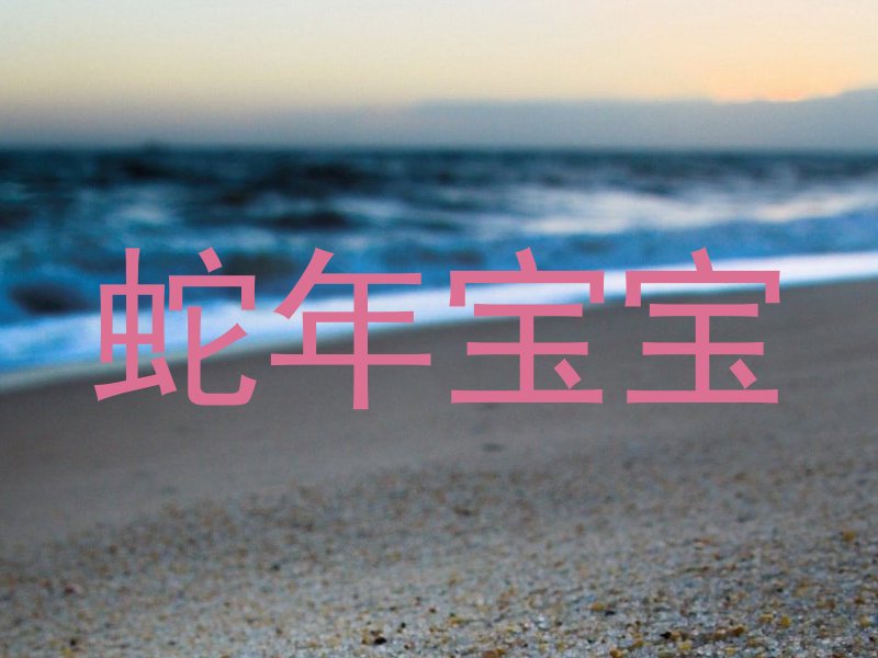 蛇年宝宝