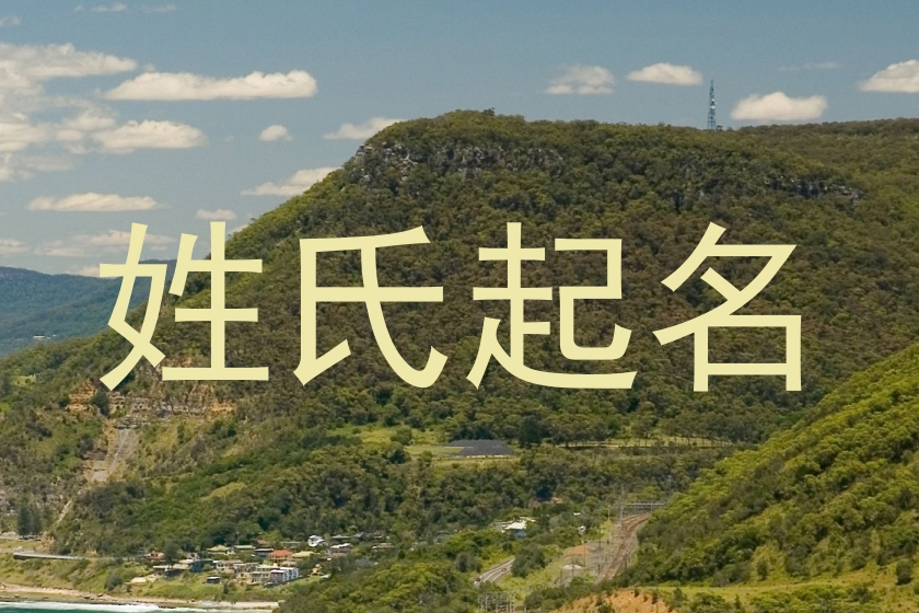 姓氏起名