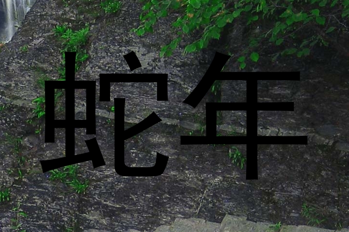 蛇年