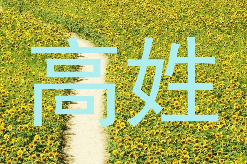高姓
