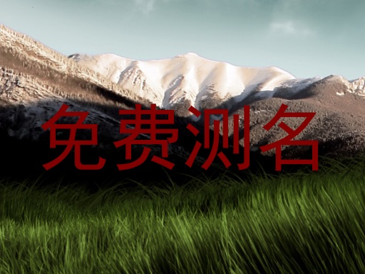 免费测名