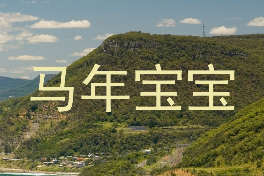 马年宝宝