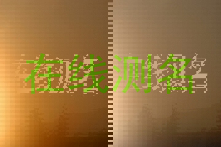 在线测名