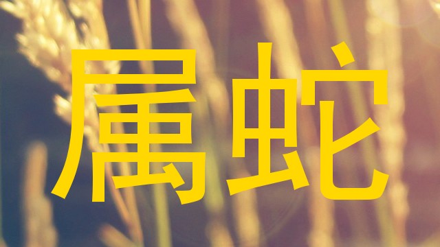 属蛇