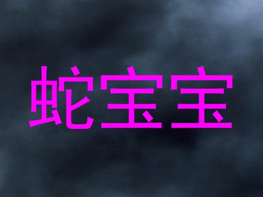 蛇宝宝