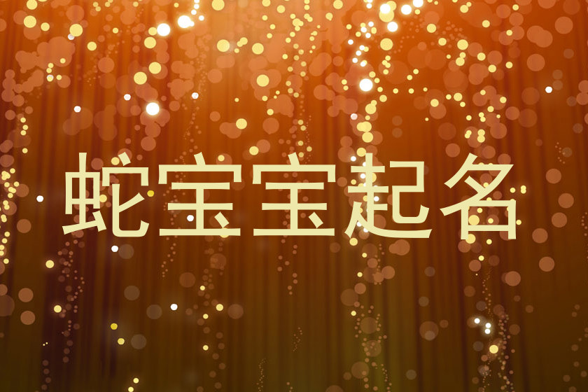 机器人