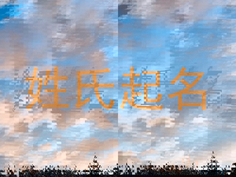 姓氏起名
