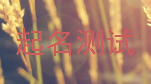 起名测试