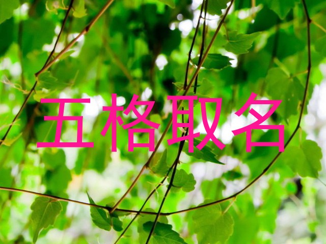 五格取名