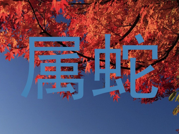 属蛇