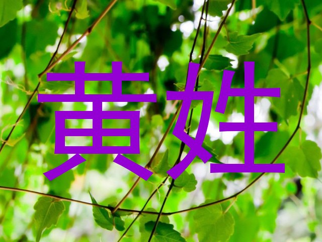 黄姓
