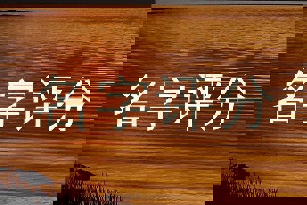 名字评分