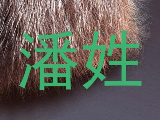 潘姓