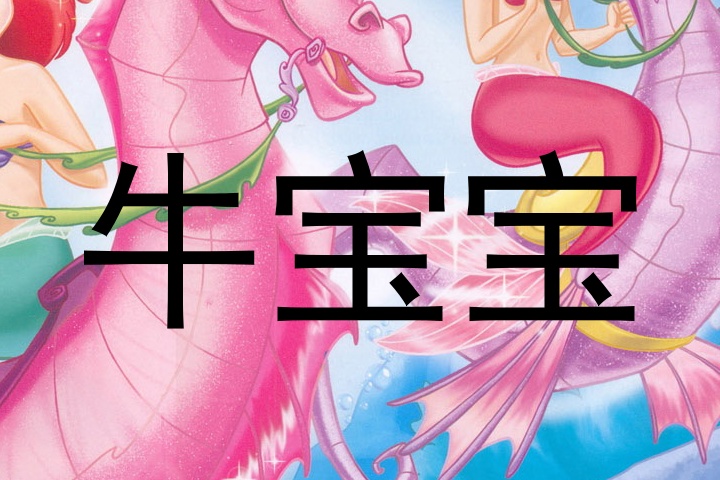 牛宝宝