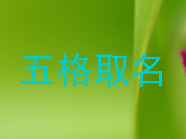 五格取名