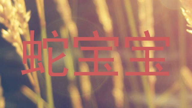 蛇宝宝