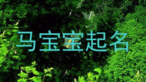 马宝宝起名