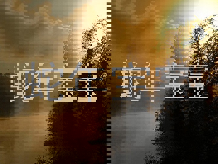 蛇年宝宝