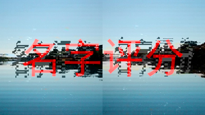 名字评分