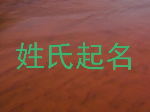 姓氏起名