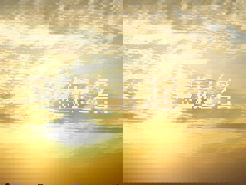 马宝宝