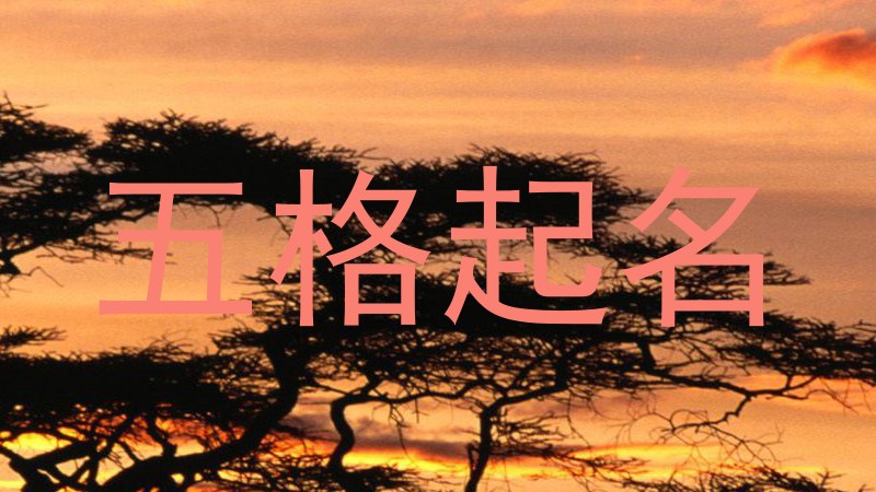 五格起名