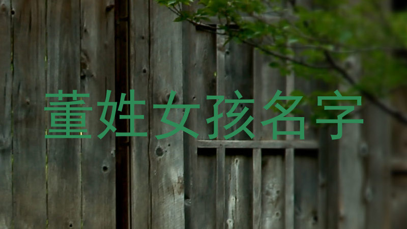 董姓女孩名字